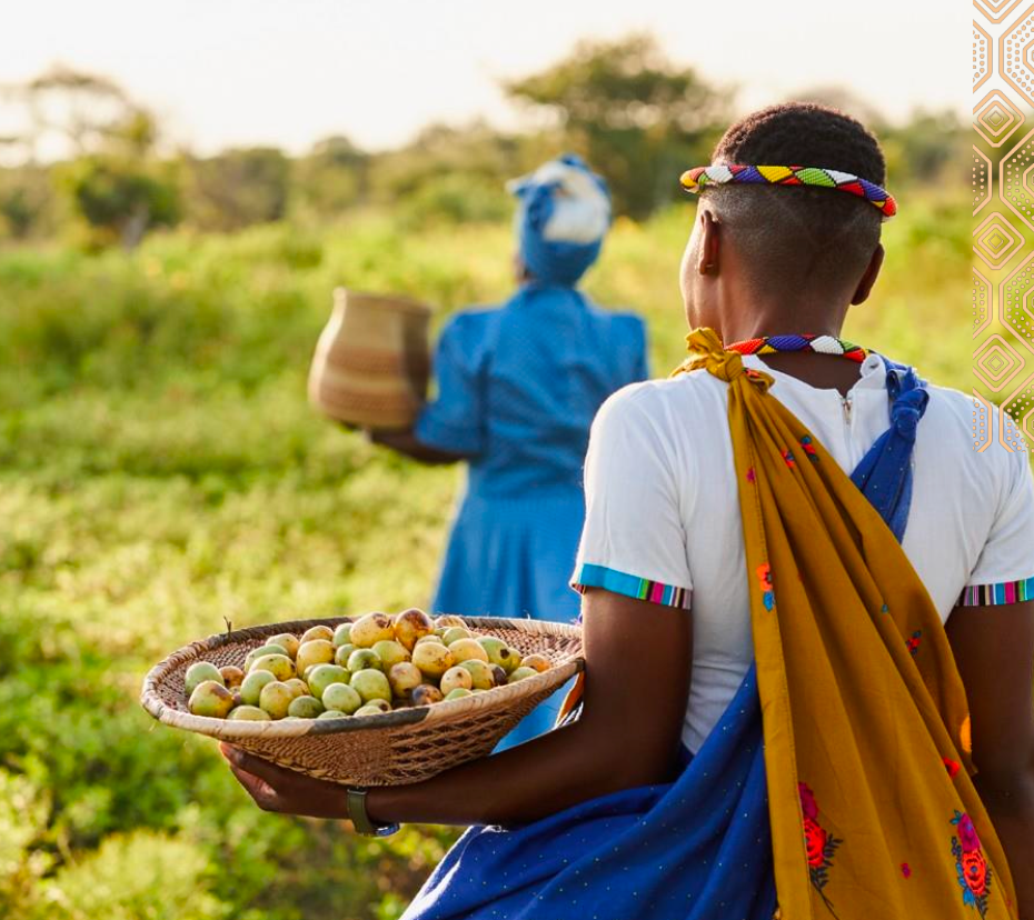 Two women in a field, one holding a basket of fruits, wearing colorful traditional attire.