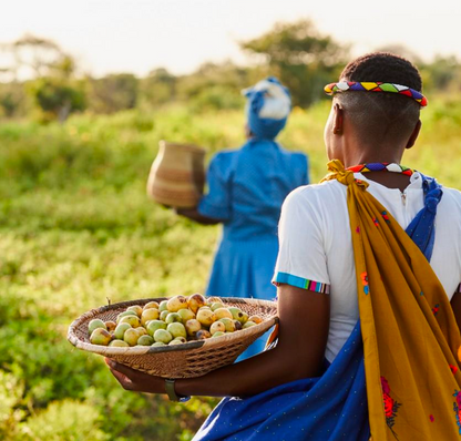 Two women in traditional attire with one holding a basket of fruits in a field.