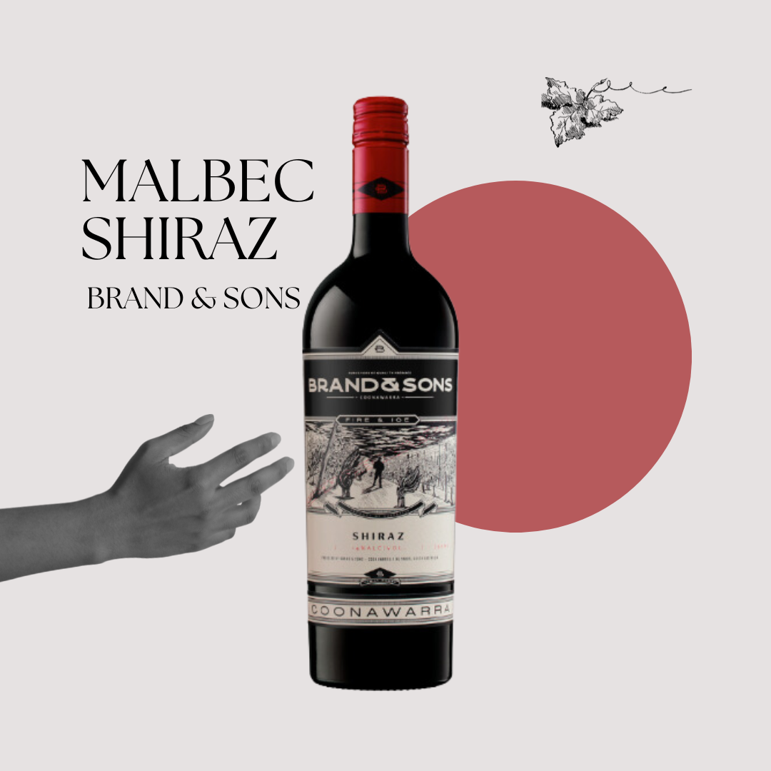 Brand & Sons Night Owls Shiraz 2019 with fancy visual concept