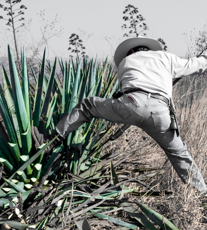 El Toro Tequila Jalapeno garden