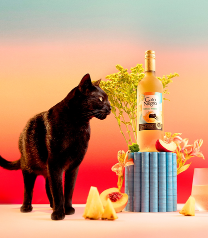Cat standing next to a bottle of Gato Negro wine with fruit and books on a gradient background