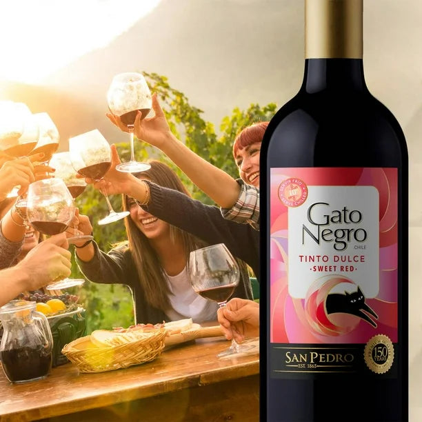 Bottle of Gato Negro wine with people enjoying a meal outdoors