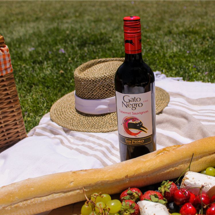 Gato Negro Red Wine Cabernet Sauvignon in a picnic lifestyle shot