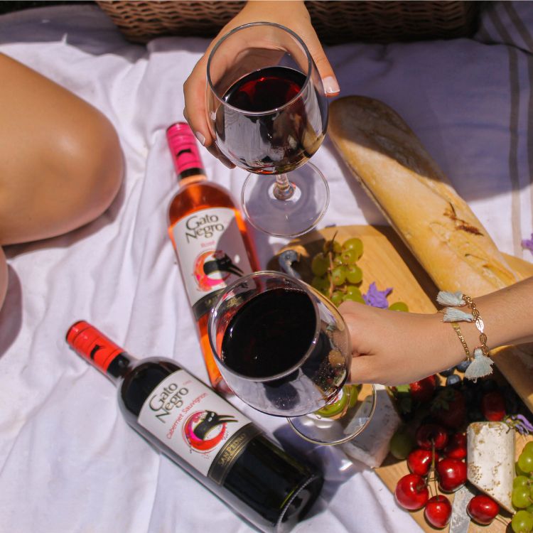 People toasting their glass of wine