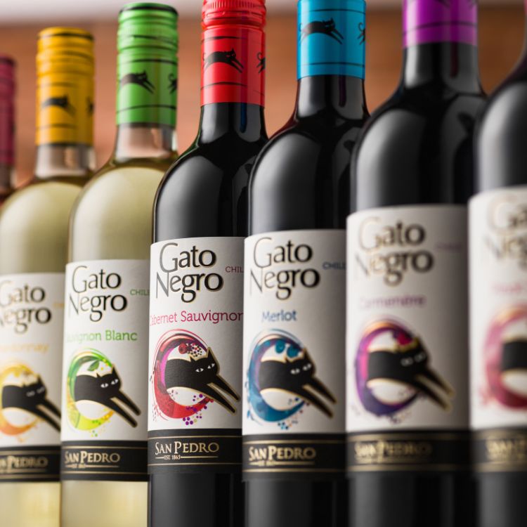 Series of Gato Negro wine