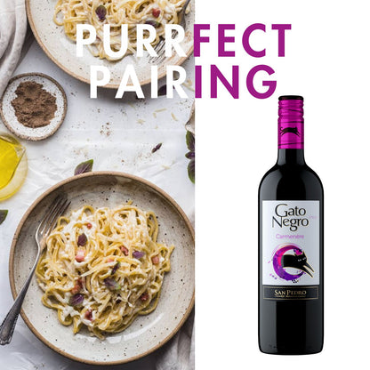 Pairing for Gato Negro Red Wine Carmenere 