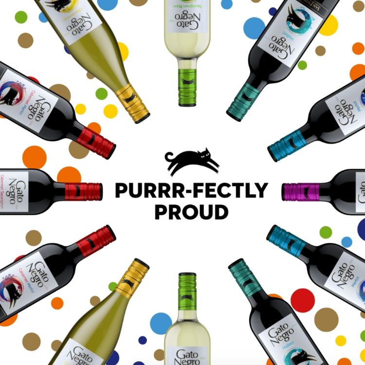 Bottle of Gato Negro Wine in circle with black cat in the middle