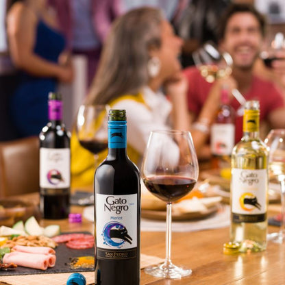 party people with Gato Negro Red Wine Merlot 