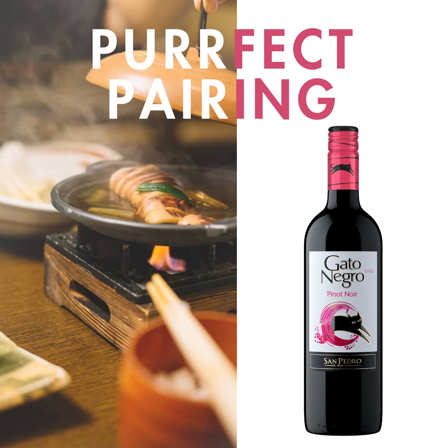 pairing recommendation for Gato Negro Red Wine Pinot Noir 