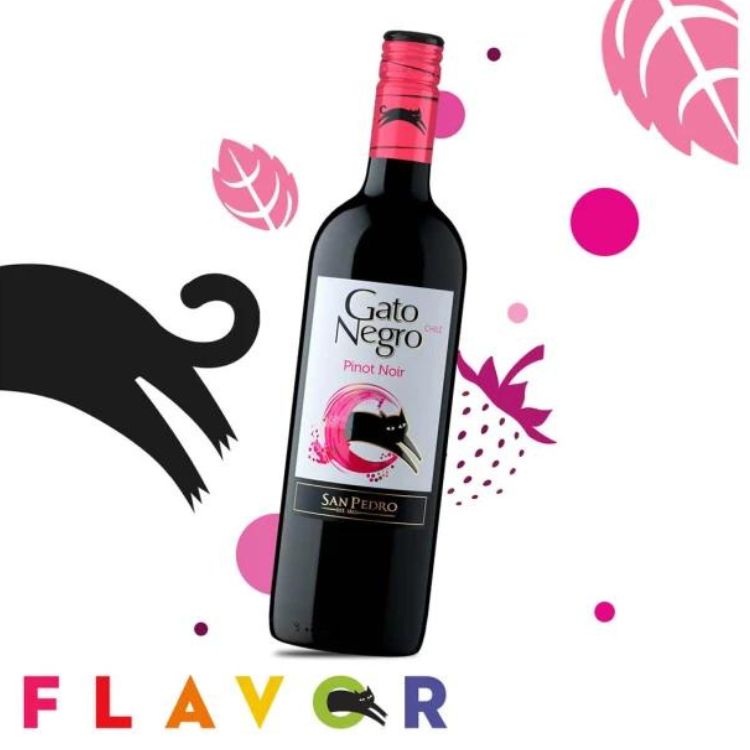 Cat jumping and playful visual with Gato Negro Red Wine Pinot Noir on the centre