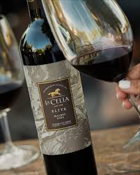 Red wine bottle with a label being held by a hand, set against a blurred outdoor background.